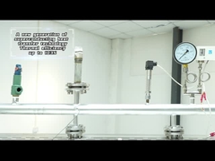 ZQJ-100KG-0.7Mpa Gasgestookte Module Oven Stoomgenerator